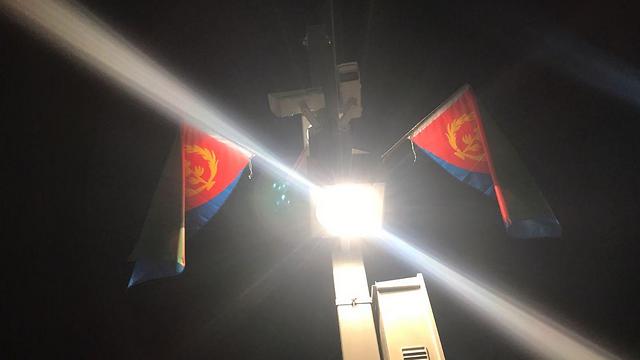 Флаги Эритреи. Фото: Шефи Паз