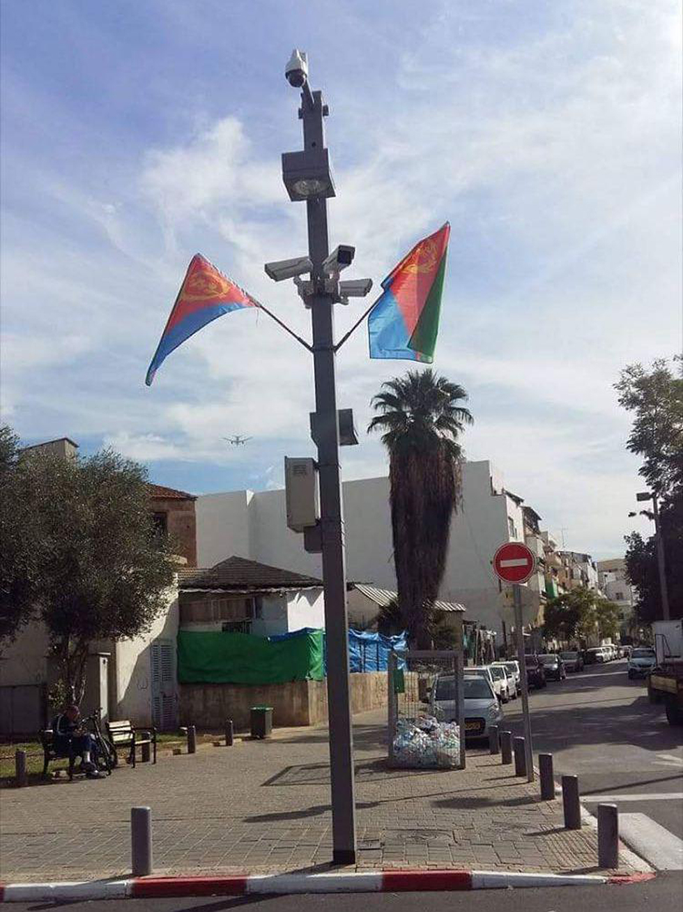 הדגלים שתלתה עיריית תל אביב (צילום: שפי פז) (צילום: שפי פז)