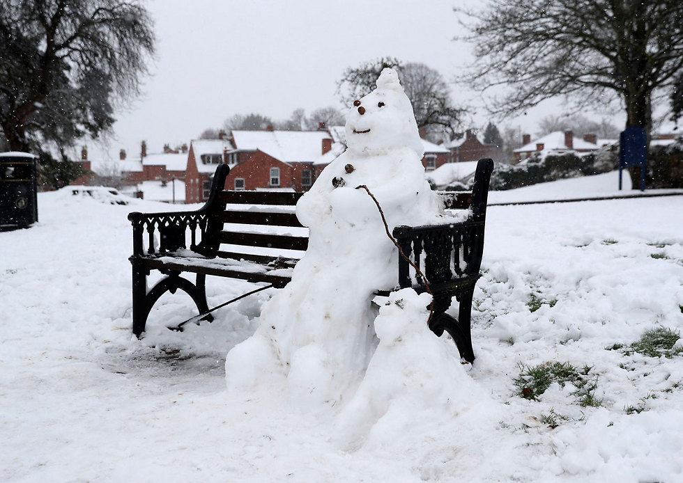 איש שלג ו"כלבו" על ספסל בווסטר, אנגליה (צילום: AP) (צילום: AP)