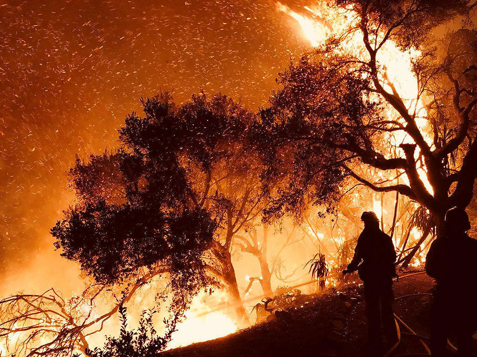 כבאים נאבקים בלהבות בקליפורניה. שרפות ענק משתוללות שם כבר כשבוע (צילום: רויטרס) (צילום: רויטרס)
