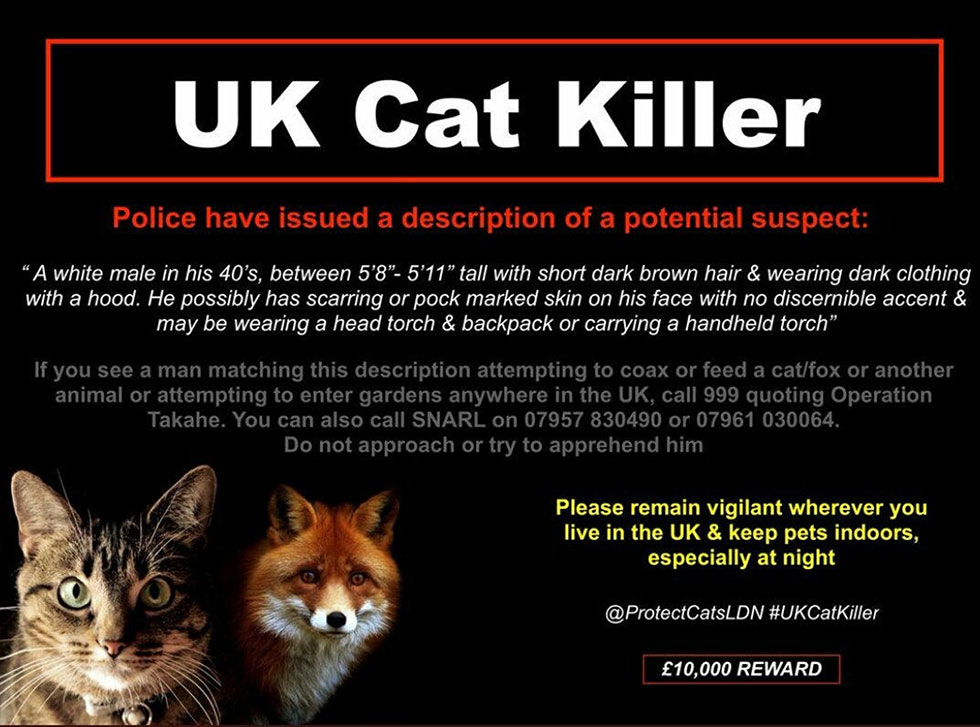 מבוקש: הרוצח הסדרתי. כרזה שפורסמה בלונדון (צילום: AFP) (צילום: AFP)