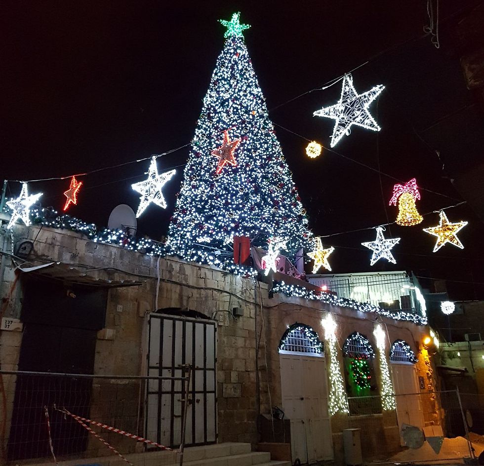 Еще одна елка в Иерусалиме. Фото: Эли Мандельбойм