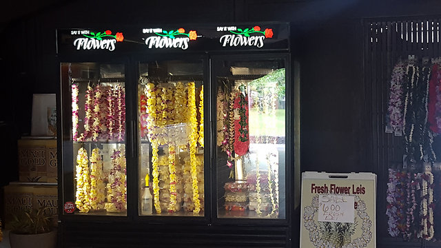מכונות למכירת פרחים (צילום: סער יעקובוביץ) (צילום: סער יעקובוביץ)