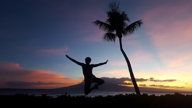 כן, נהניתי בהוואי (צילום: סער יעקובוביץ) (צילום: סער יעקובוביץ)