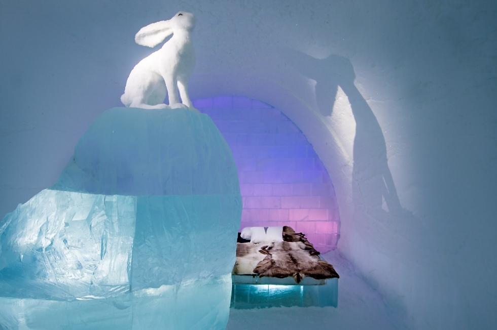 פסל ארנב מעל המיטה (צילום: אסף קליגר) (צילום: אסף קליגר)