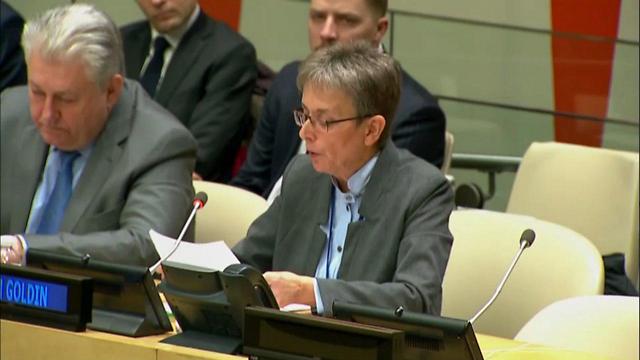 לאה גולדין במועצת הביטחון של האו"ם ()