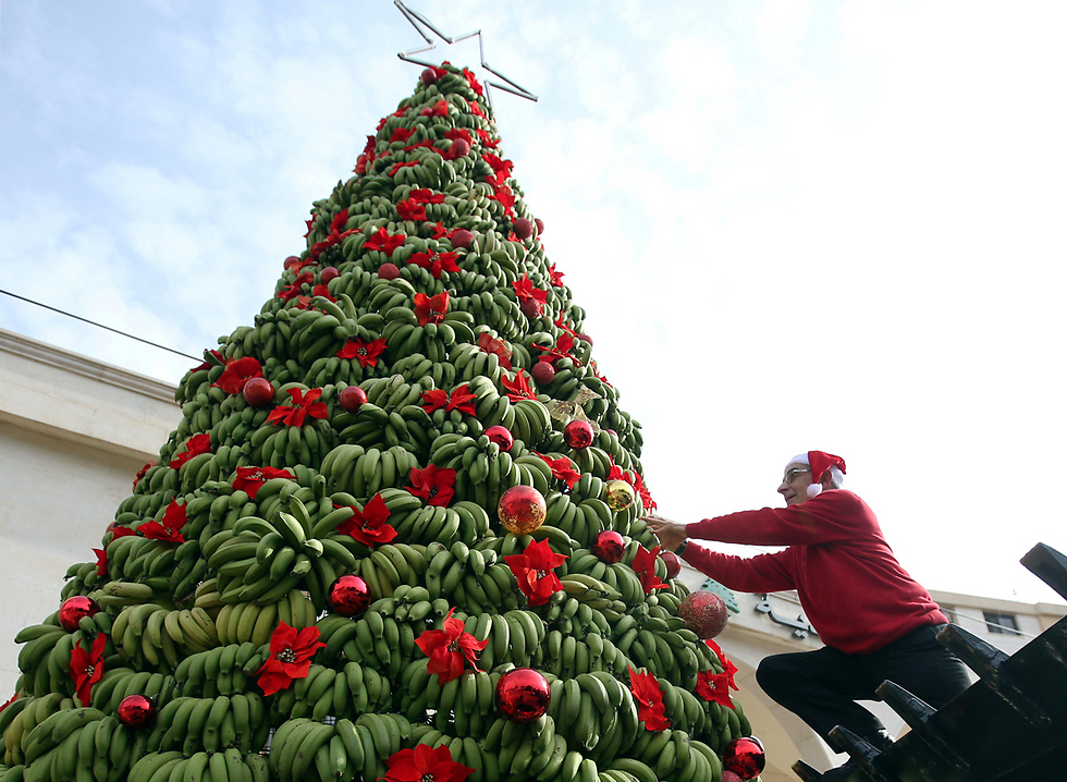 עץ חג המולד עשוי בננות בלבנון (צילום: רויטרס) (צילום: רויטרס)