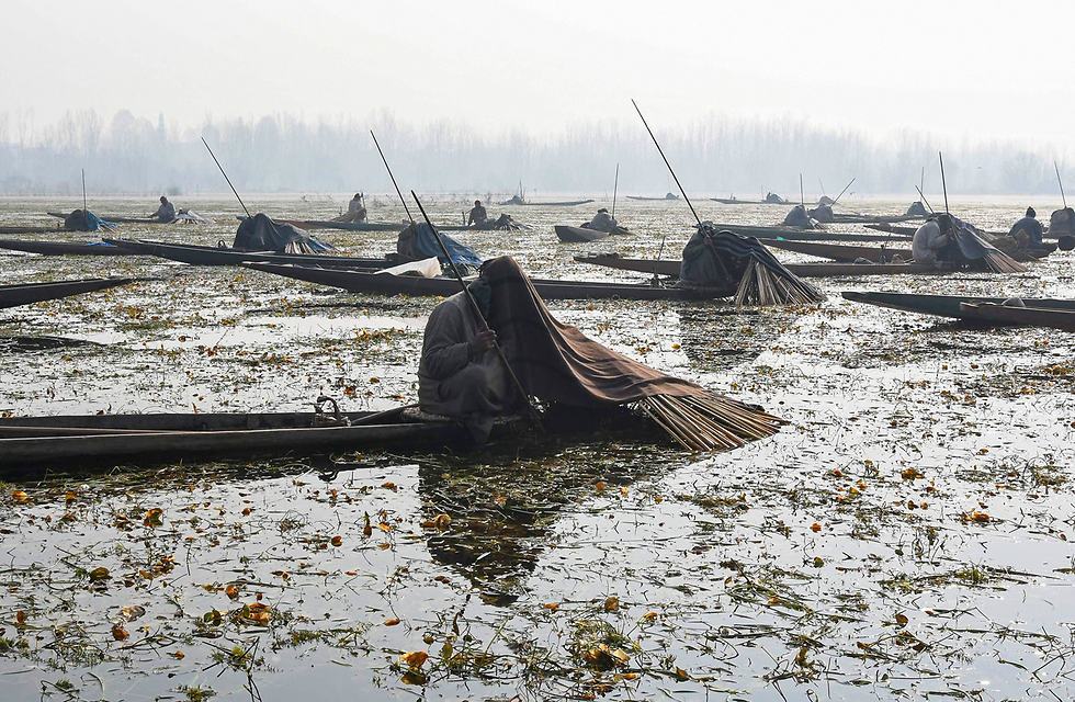 דייגים מקשמיר ההודית תופסים דגים (צילום: AFP) (צילום: AFP)