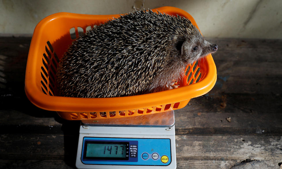 120 grams down, about half a kilo left to go (Photo: Reuters)