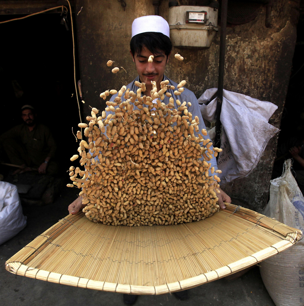 דוכן בוטנים בפשאוור, פקיסטן (צילום: EPA) (צילום: EPA)