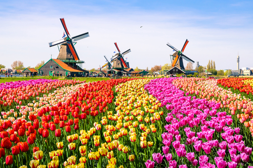 Голландия - новый фаворит израильских туристов. Фото: shutterstock