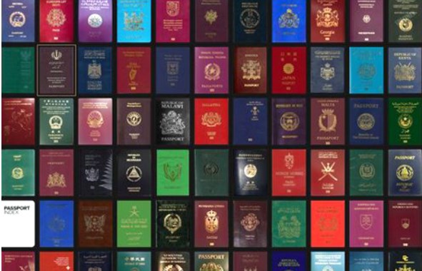 Паспорта, представленные в рейтинге