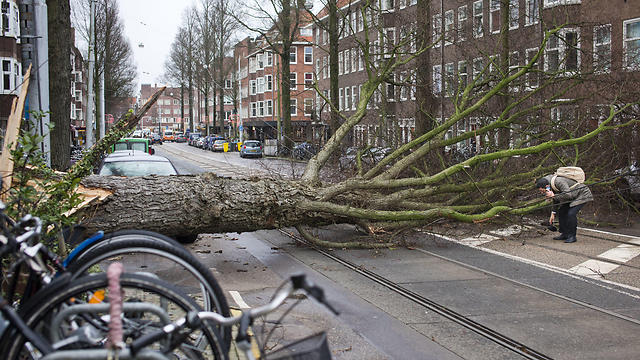 אמסטרדם, הולנד (צילום: AP) (צילום: AP)
