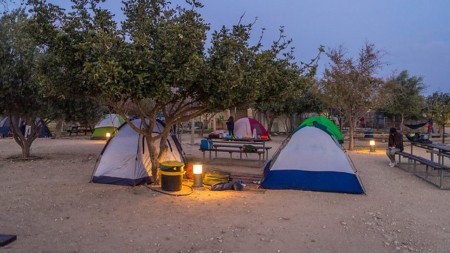 אוהלים בגן לאומי תל ערד (צילום: מנו גרינשפן) (צילום: מנו גרינשפן)