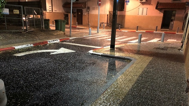 ברד ירד בתל אביב במהלך הלילה (צילום: מושיקו חדד) (צילום: מושיקו חדד)