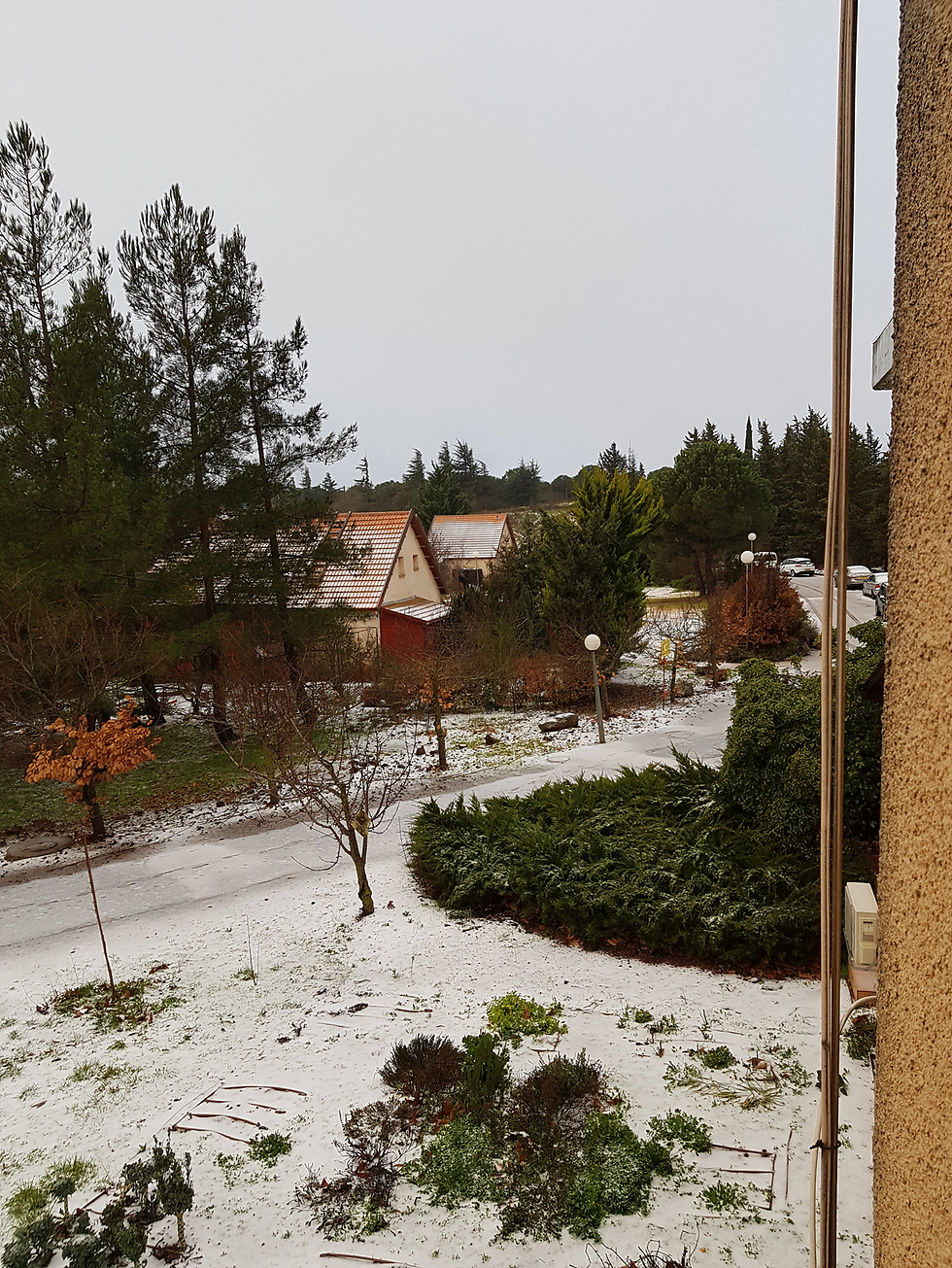 גם בקיבוץ אל-רום ירד שלג (צילום: שגיא ציפורי ) (צילום: שגיא ציפורי )