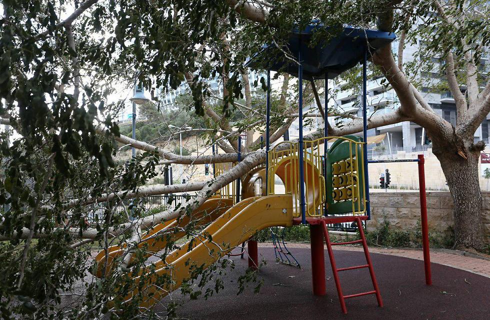 נזק לגן משחקים בסביוני דניה בחיפה (צילום: סתיו פאולמן) (צילום: סתיו פאולמן)