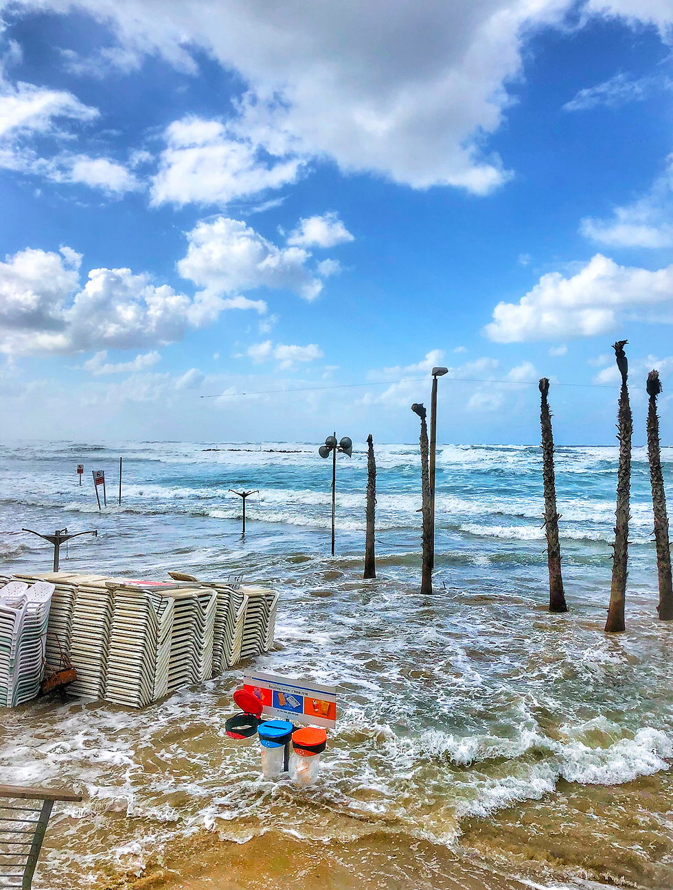 כך נראה החוף בתל אביב אתמול (צילום: ליאור גולברי ) (צילום: ליאור גולברי )