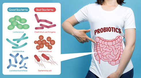 שחיקה היומיומית, תזונה לקויה ושימוש באנטיביוטיקה, מפרים את האיזון של החיידקים (צילום: Shutterstock)