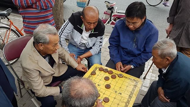 משחק סוער של שח סיני (צילום: רון פלד) (צילום: רון פלד)