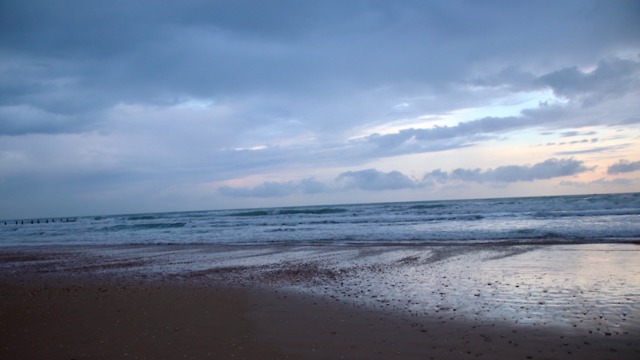 בוקר סוער בחוף מכמורת  (צילום: שגיא סעדון) (צילום: שגיא סעדון)