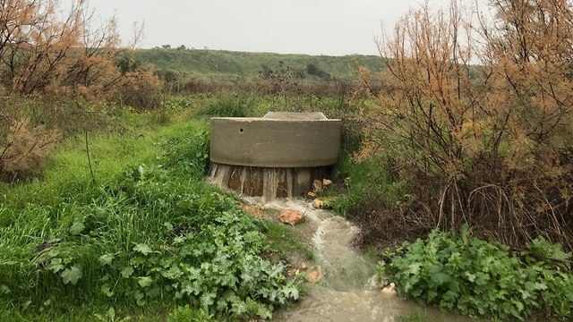 Sewage pumped into the Kishon Stream (Photo: Rakefet Kovalio-Roth)