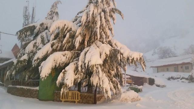 Снег в на Хермоне. Фото: пресс-служба Хермона