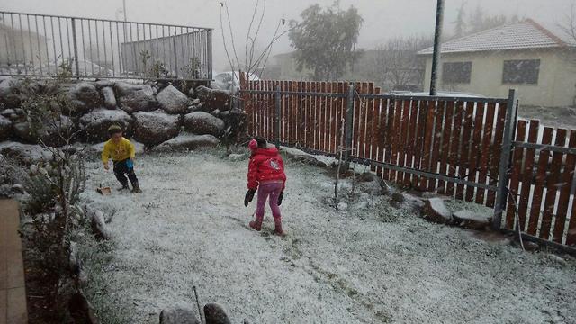 Снег на Голанах. Фото: Ясха Декель