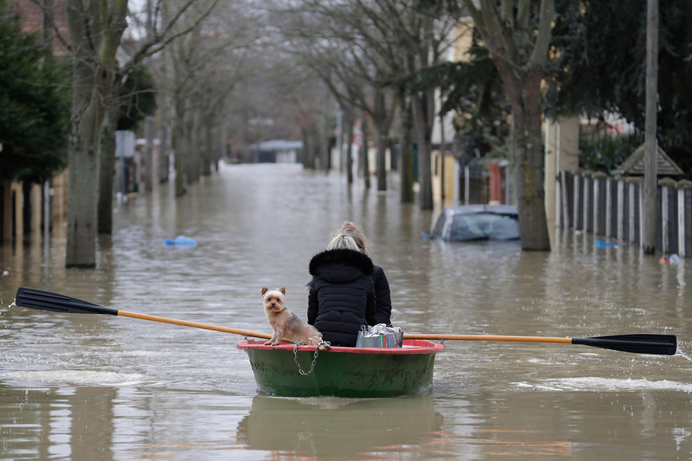אישה וכלב שטים בסירה ברחוב מוצף בצרפת (צילום: AFP) (צילום: AFP)