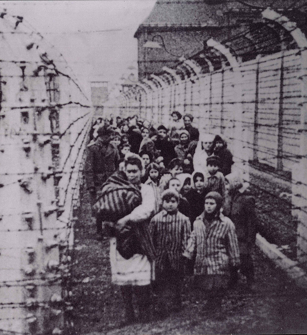Children in Auschwitz 