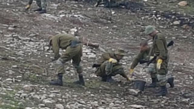 חיילים מחפשים שברים מהמטוס שהתרסק ליד הרדוף (צילום: אחיה ראב"ד) (צילום: אחיה ראב