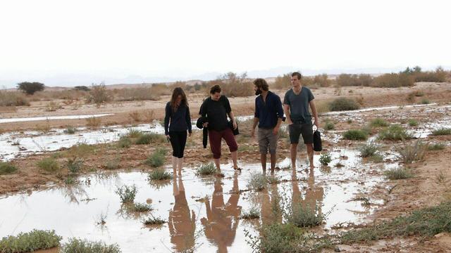 מטיילים בנחל ערבה, היום (צילום: מועצה אזורית ערבה תיכונה) (צילום: מועצה אזורית ערבה תיכונה)