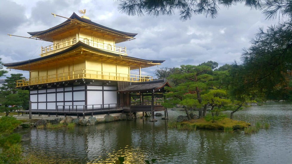 המקדש המוזהב בקיוטו, יפן (צילום: שי בחאש) (צילום: שי בחאש)