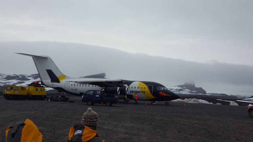 מטוס הפינגווין שהטיס אותנו מהיבשת הלבנה (צילום: סער יעקובוביץ) (צילום: סער יעקובוביץ)