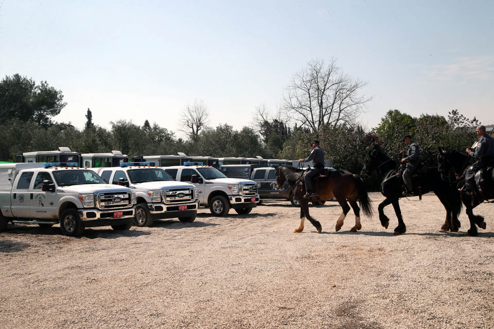 Лошадей на место патрулирования доставляют в специальных машинах. Фото: Ярив Кац