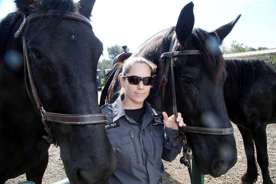 Полицейская Дана и ее подопечные лошади. Фото: Ярив Кац