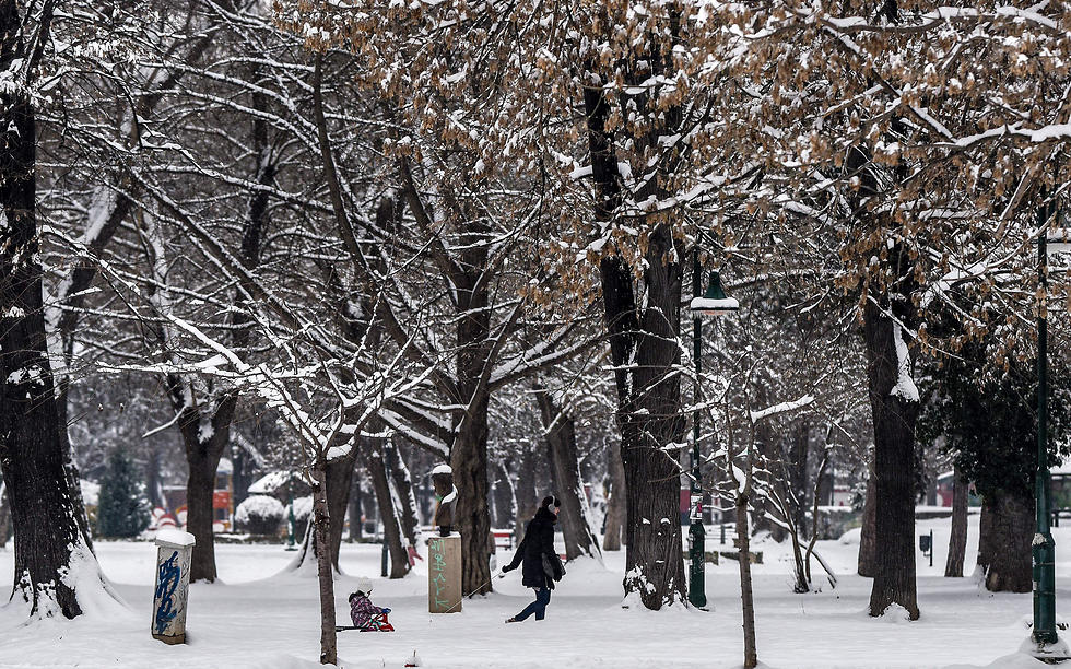 סקופיה, מקדוניה (צילום: AFP) (צילום: AFP)