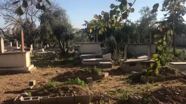 Jaffa Muslim cemetery (Photo: Tal Shimoni)