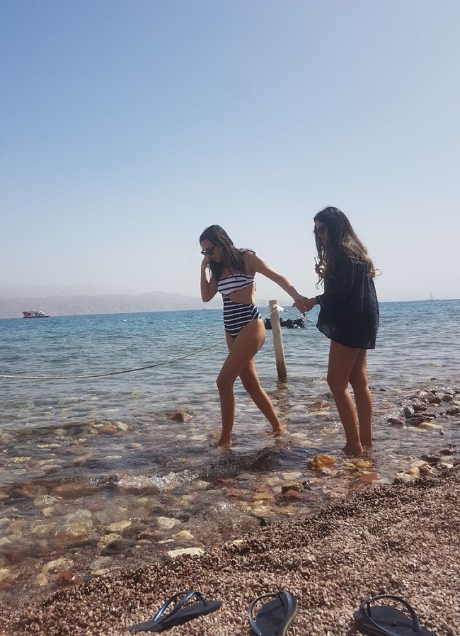 מחפשת קיפודי ים מחפשת קיפודי ים