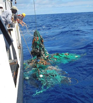 פסולת פלסטיק באוקיינוס השקט (צילום: EPA)