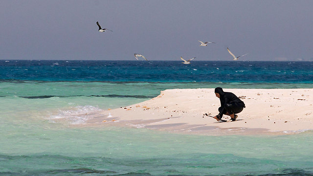 סעודיה צוללנית נוף אל אוסיימי מגלים סודות הים האדום (צילום: AP)