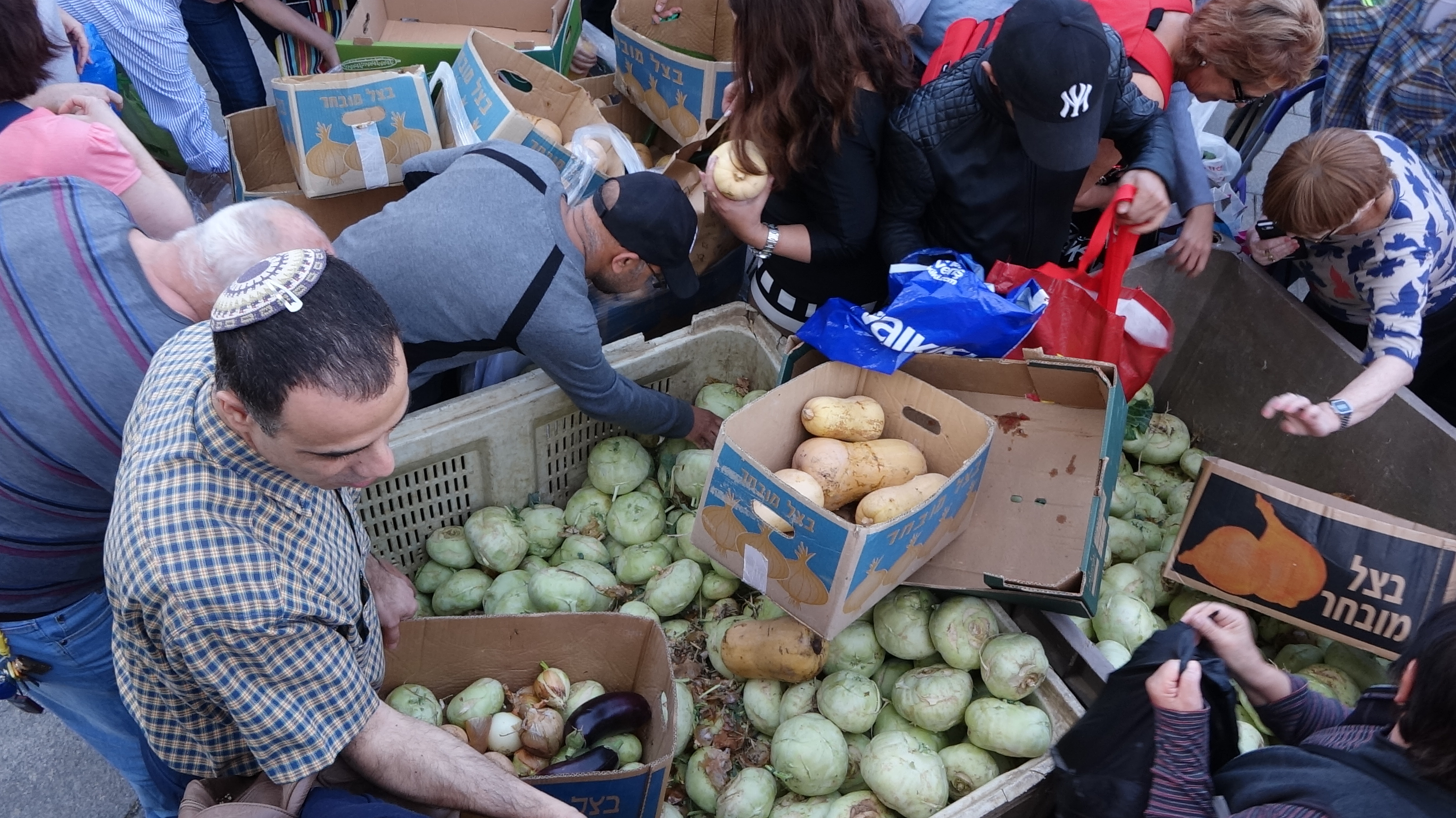 חלוקת ירקות בהפגנת החקלאים (צילום: אלון הוטר, באדיבות הברית הישראלית)