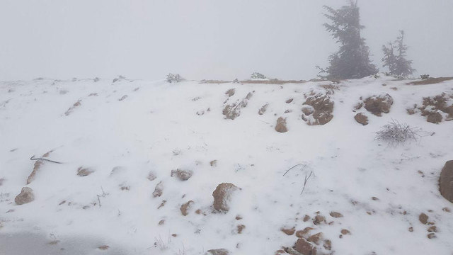  שלג בהר החרמון (צילום: אתר החרמון)