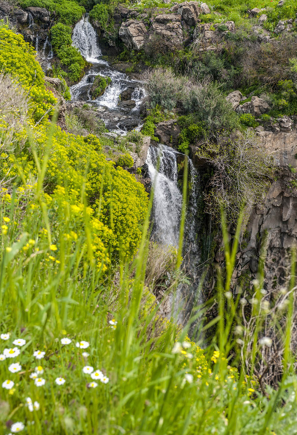 Водопад Гамла