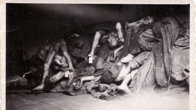 Bodies piled in Dachau camp (Photo: Massuah Institute for Holocaust Studies)