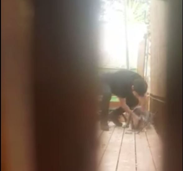 תושב באר שבע מתעלל בכלבה בחצר הבית (צילום: משרד החקלאות)