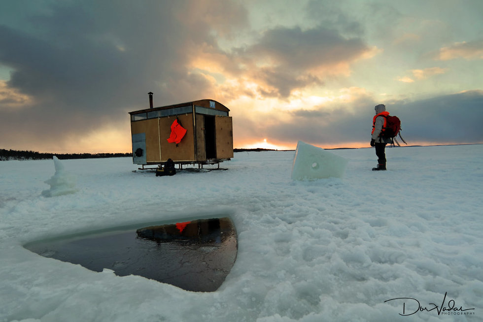 צלילה מתחת לקרח (צילום: דור ואדאס )