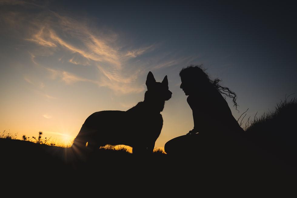ויני הכלב (צילום: אלינור רויזמן)