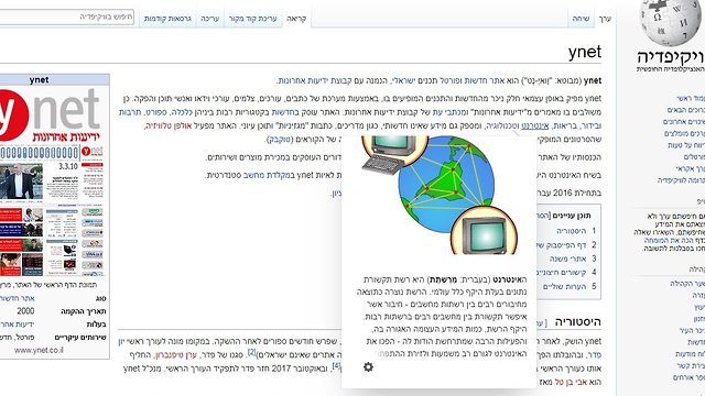 ערך ynet בוויקיפדיה (צילום מסך)