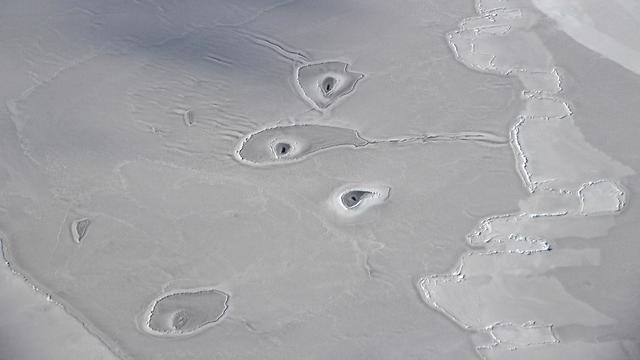 מעגלים באוקיינוס הארקטי (צילום: נאס